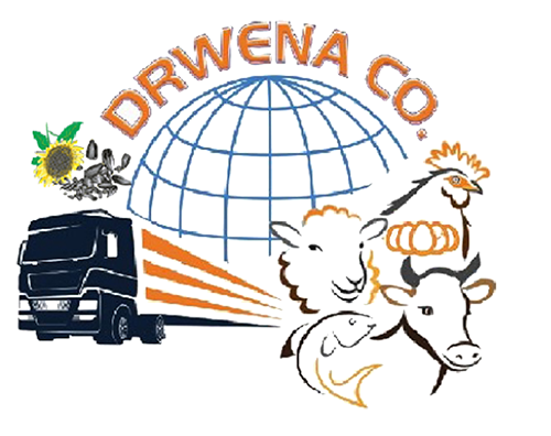 drwena – logo